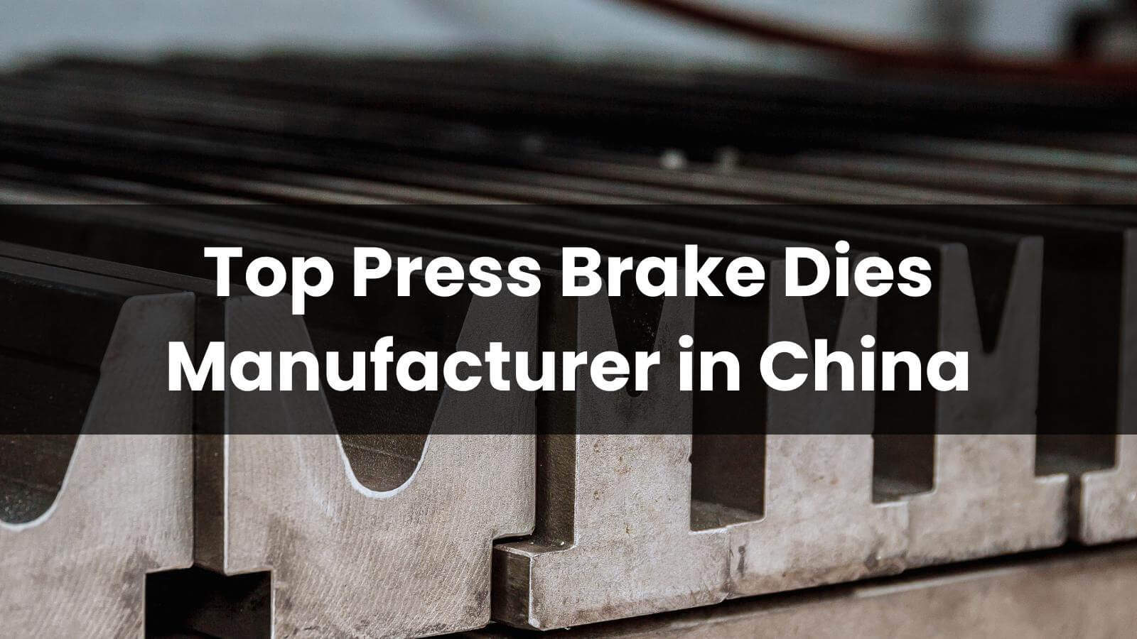 Top 10 Press Brake Dies Manufacturer in China 2026
